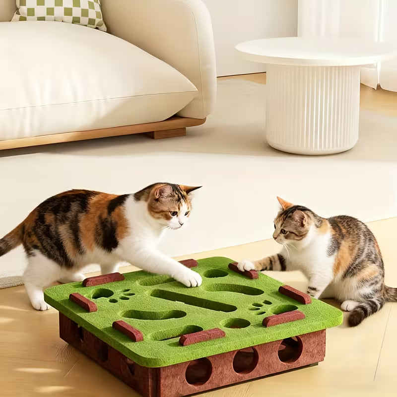 Cat Fun Box Set - Interactive Cat Scratching