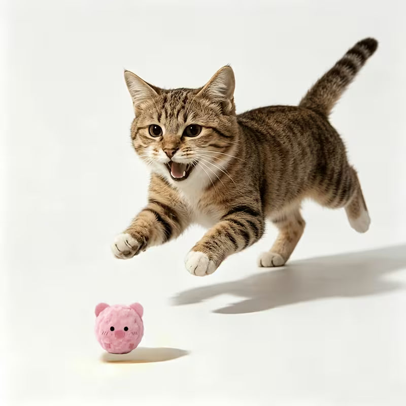 Pink Piglet Pet Cat Interactive Bouncing Sound Toy, Pink
