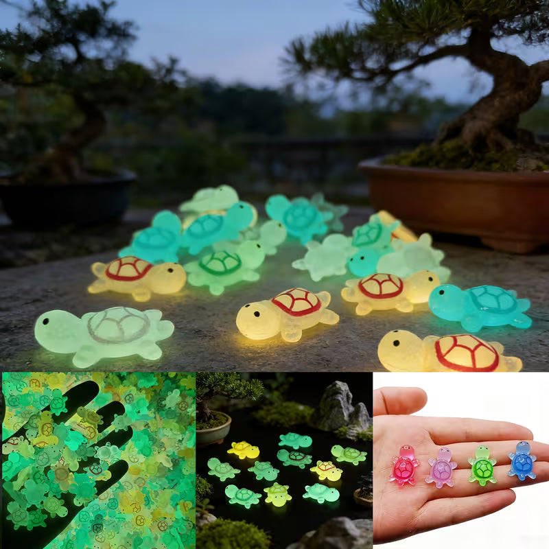 23Mm Color 3D Magical Night-Lighting Little Turtle Set