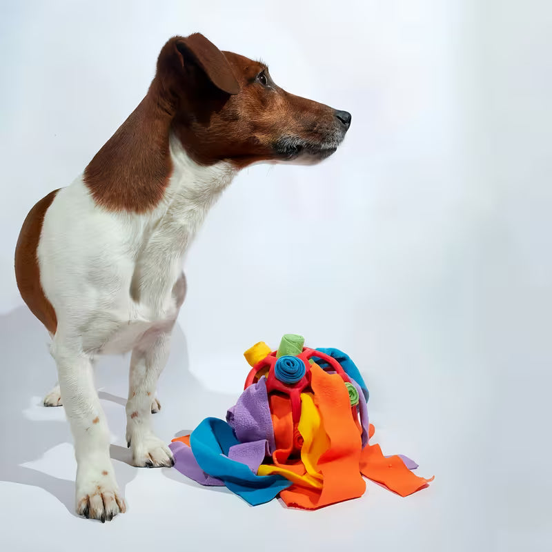 Interactive Snuffle Ball for Dogs, IQ Training Treat Hiding Puzzle