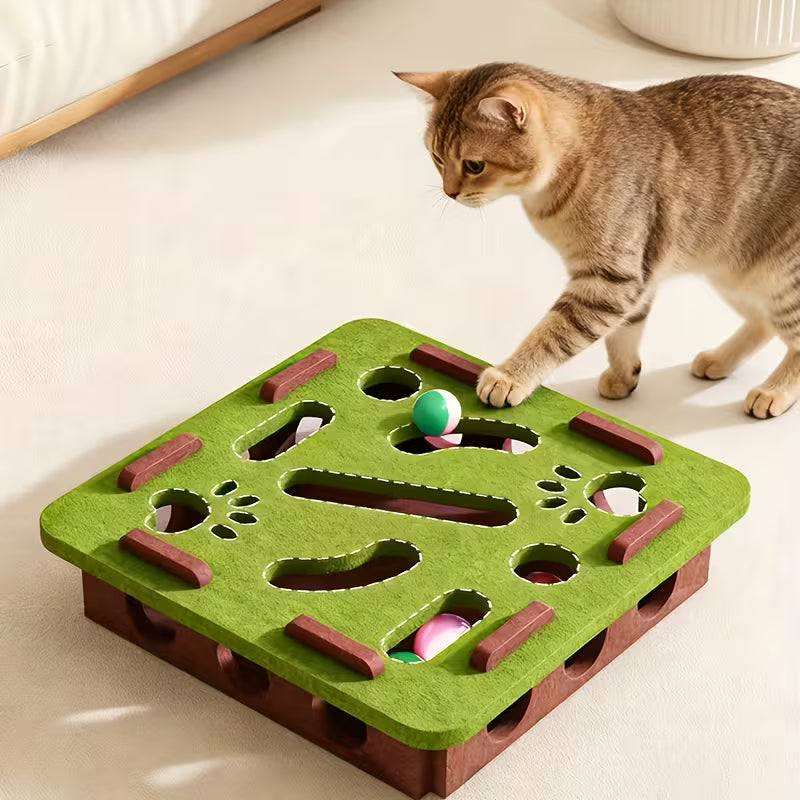 Cat Fun Box Set - Interactive Cat Scratching