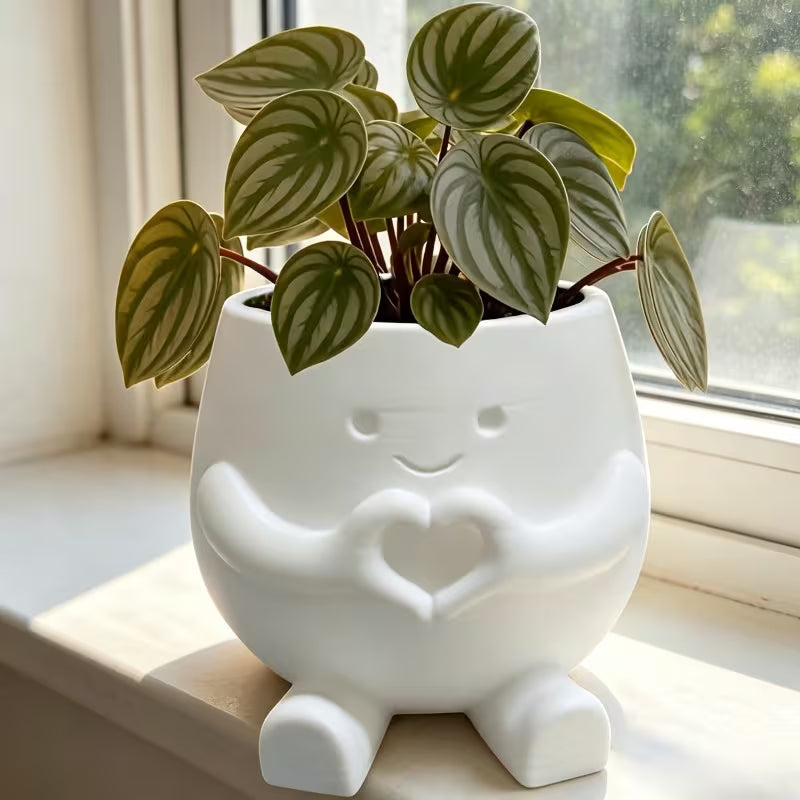 Cute Lucky Heart-Shaped Planter, Succulent and Pothos Flower Pot, Suitable for Desktop Art
