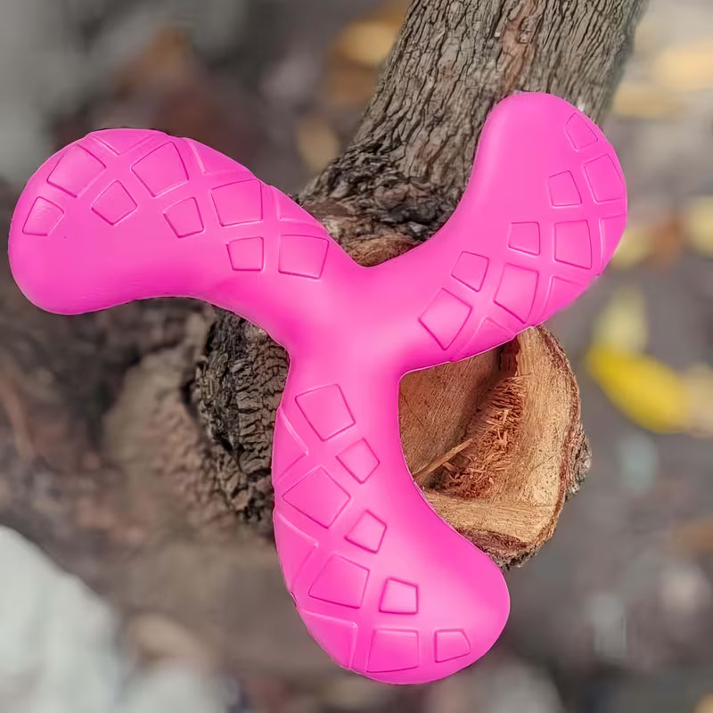 1pc Pet Interactive Flying Disc - Wear-Resistant EVA Set