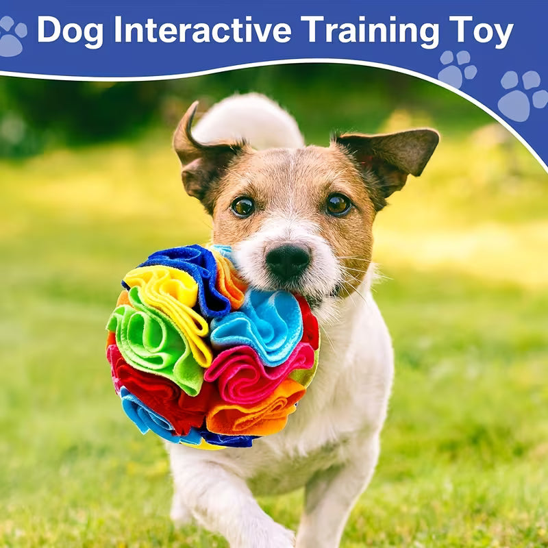 Anxiety Dog Toy Set