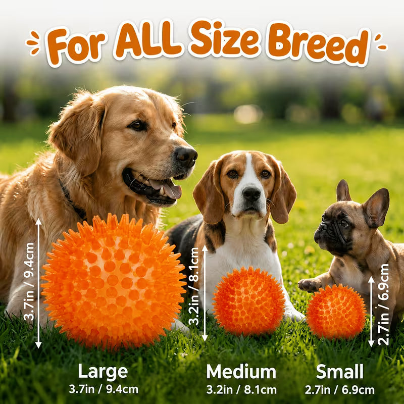 Squeaky Dog Toy Balls (3/4/6 Pack) Puppy Chew Set