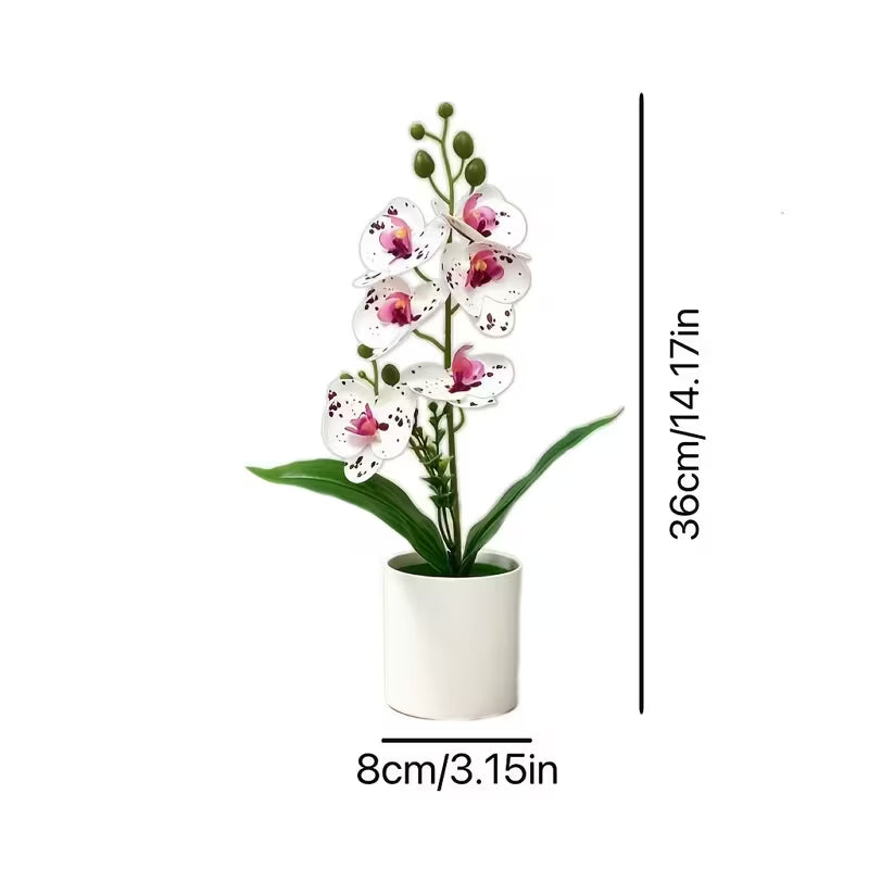 3pcs White Artificial Phalaenopsis Orchid Plant Set in White Pots - Realistic Fake Flowers