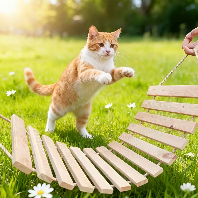 Cat Climbing Ladder Made of Solid Wood, Available, Wood