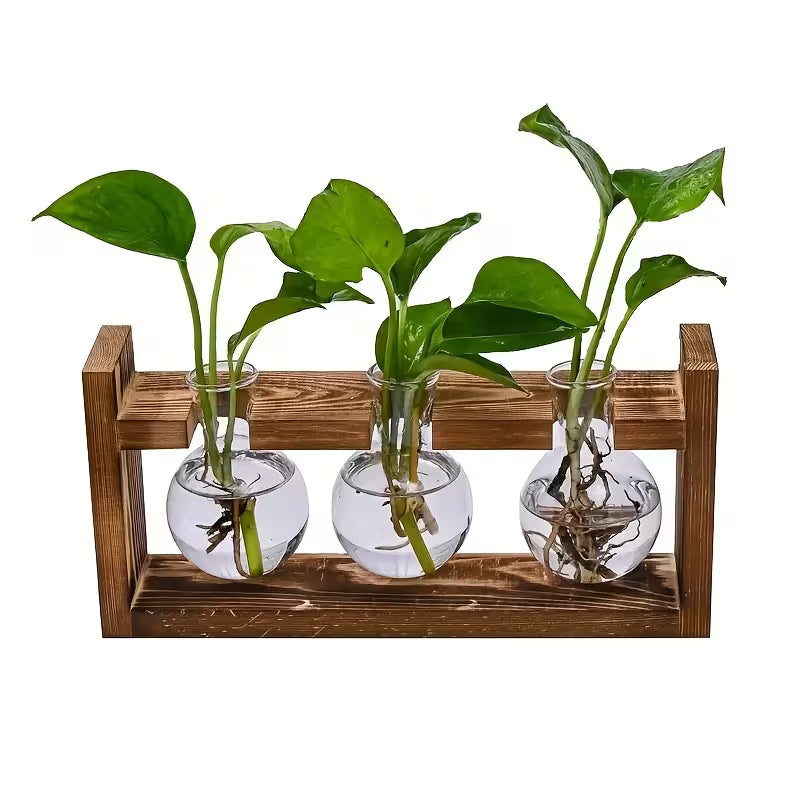 1pc/set Wooden Frame Hydroponic Plant Spherical Wooden Frame with PVC Material Vase, Ideal