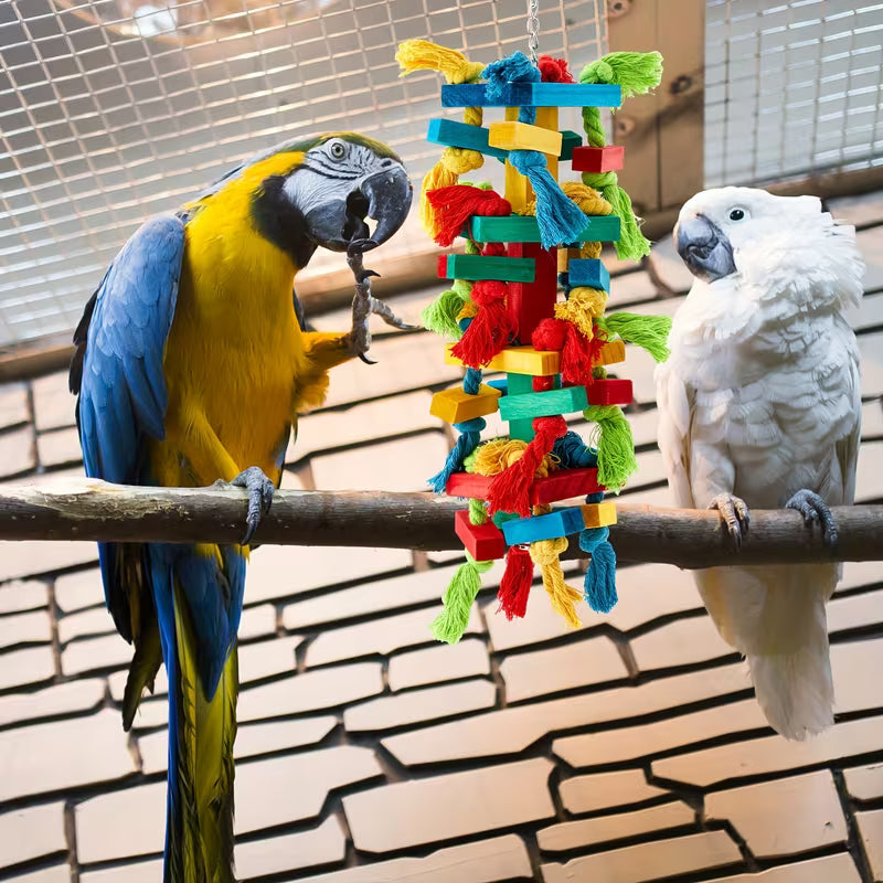3-Piece Extra for Large Bird Parrot Toy Wooden
