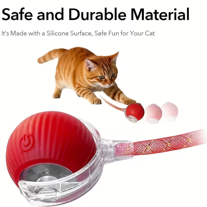 Cat Toy Ball