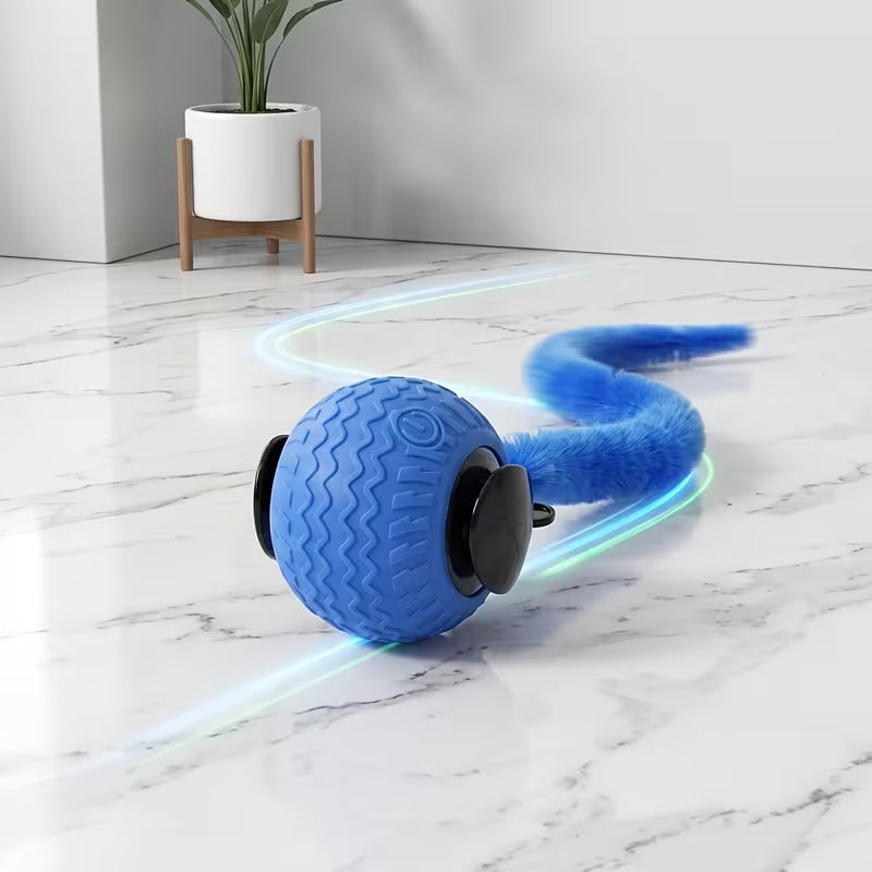 Indoor Cat Toy • Interactive Toy Set