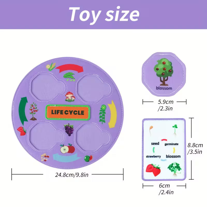 51-Piece Plant and Fruit Life Cycle Toy Set