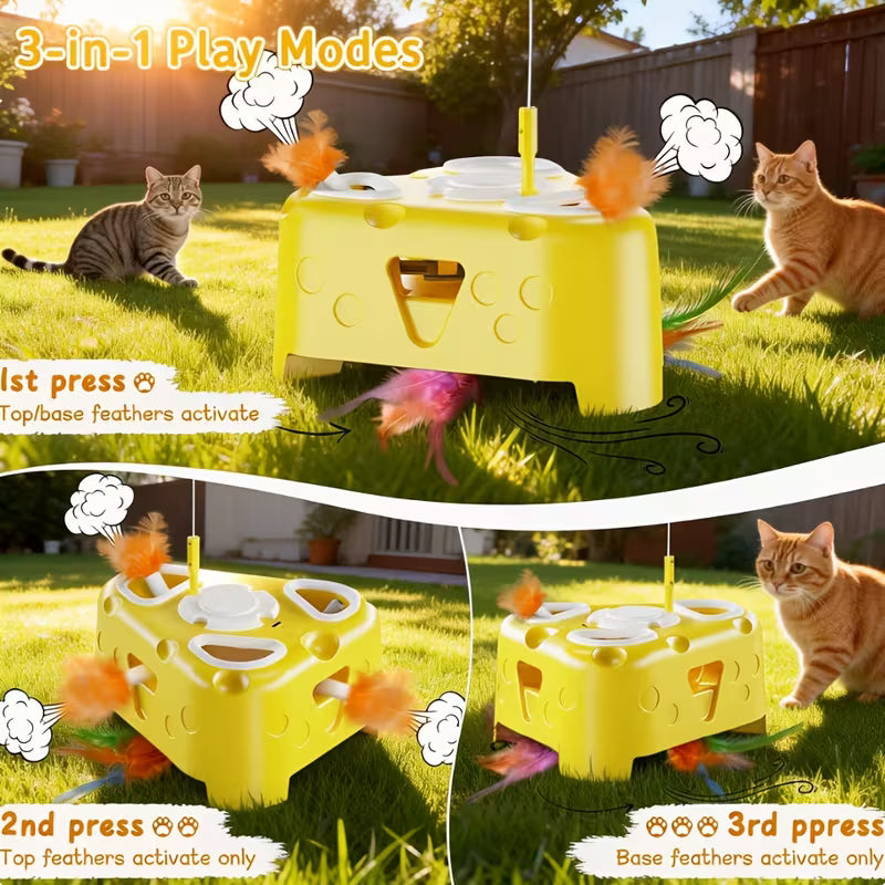 Interactive Cat Toy for Indoor Cats, Enrichment Stimulation Kitten Toys