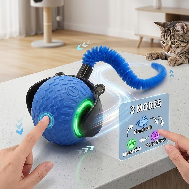 Indoor Cat Toy • Interactive Toy Set