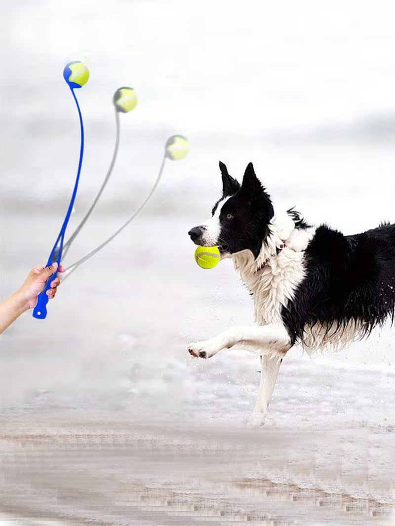 Pet Ball Launcher Dog Training Toy Thrower