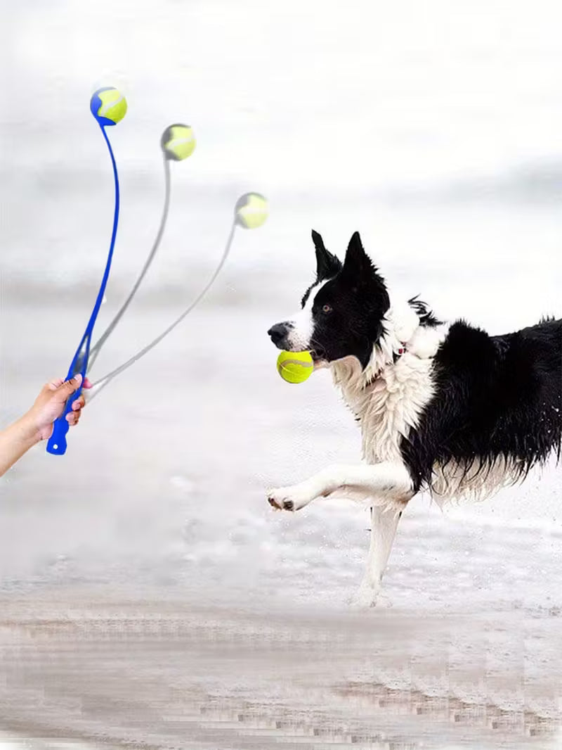 Pet Ball Launcher Dog Training Toy Thrower