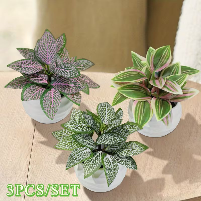 3pcs Per Set Artificial Potted Plants Fake Leaf Fittonia, zebrina Leaf, Peperomia, zebrina