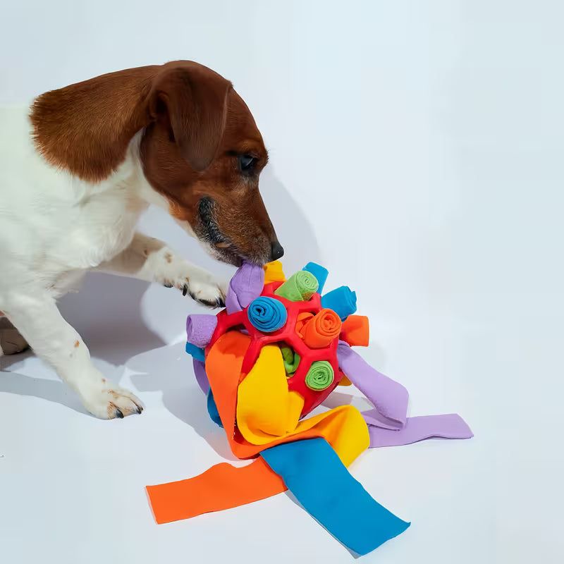 Interactive Snuffle Ball