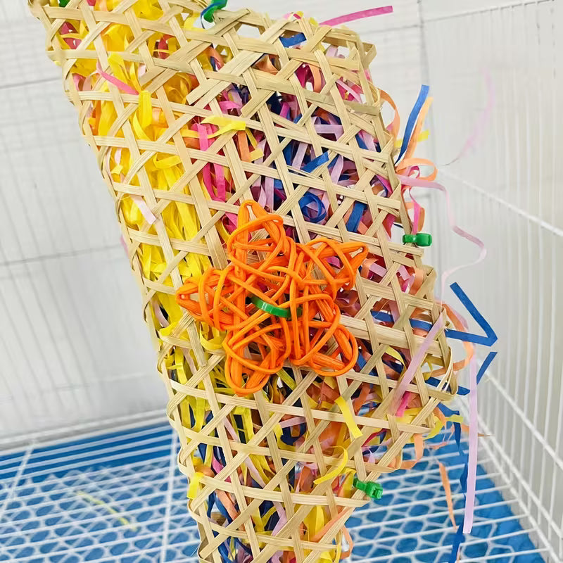Colorful Parrot Chew