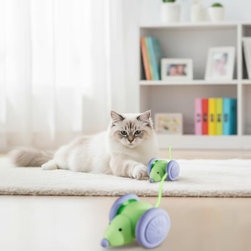 Electric Mouse Cat Toy Boredom Relief Automatic Cat Set