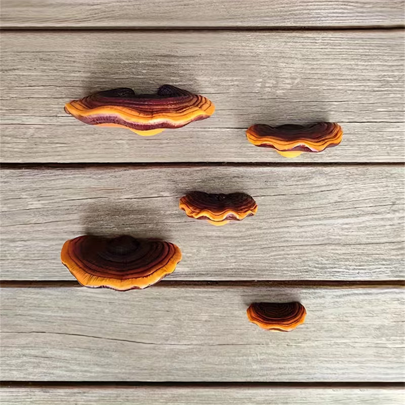 5pcs Lingzhi Pendant Shelf, Decorative Wall Hanging Resin Crafts