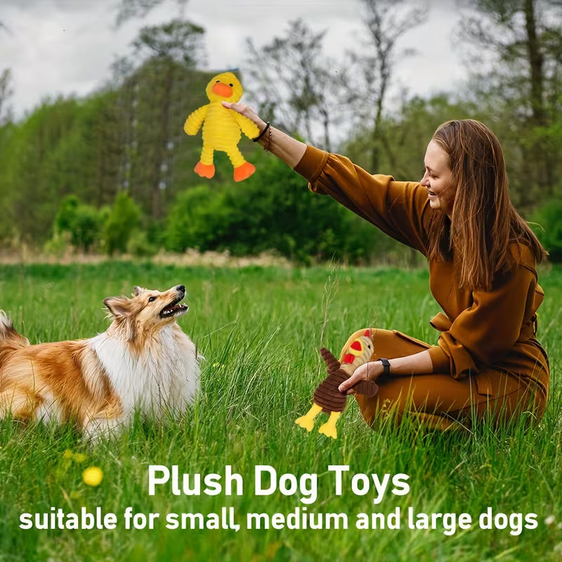 Dog Toys, Pack of 5, Plush Dog Squeaky