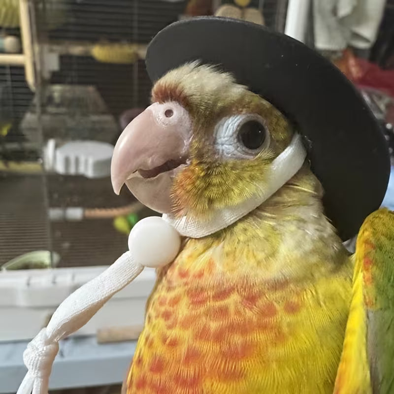 Parrot Toy Hat, Decorative Handmade Cowboy Hat, Bird Accessory, Photo