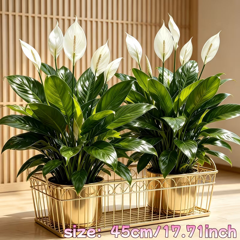 2pcs Set • 2026 Model High-Quality Large Artificial Magnolia Tree • Smooth Sailing Artificial