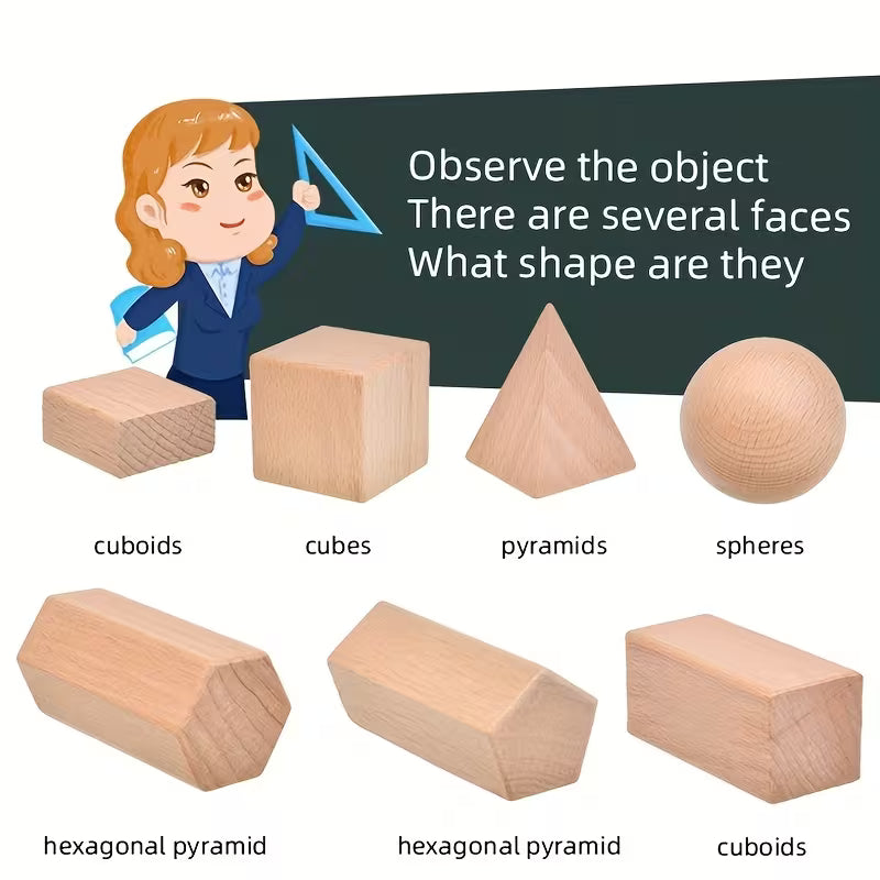 Set with a Storage Box Includes 12 Geometric Model Pieces