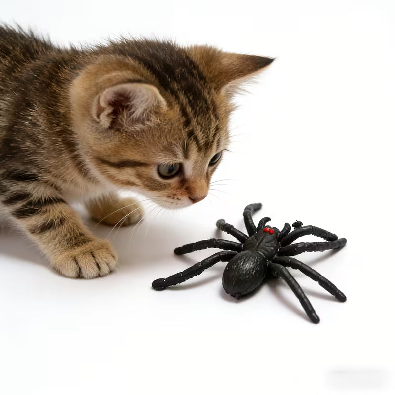 Pet Cat Teaser Toy