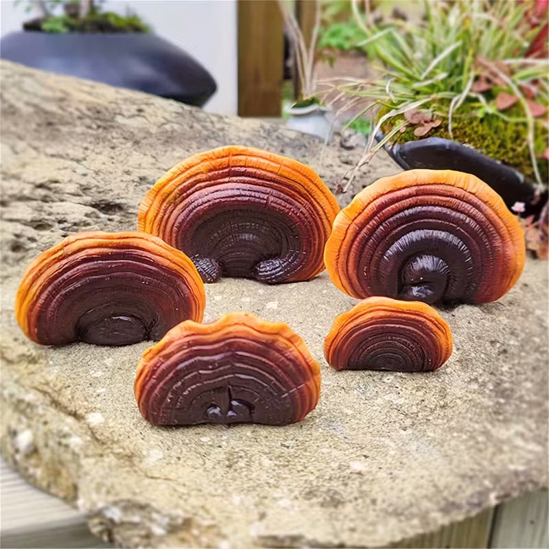 5pcs Lingzhi Pendant Shelf, Decorative Wall Hanging Resin Crafts