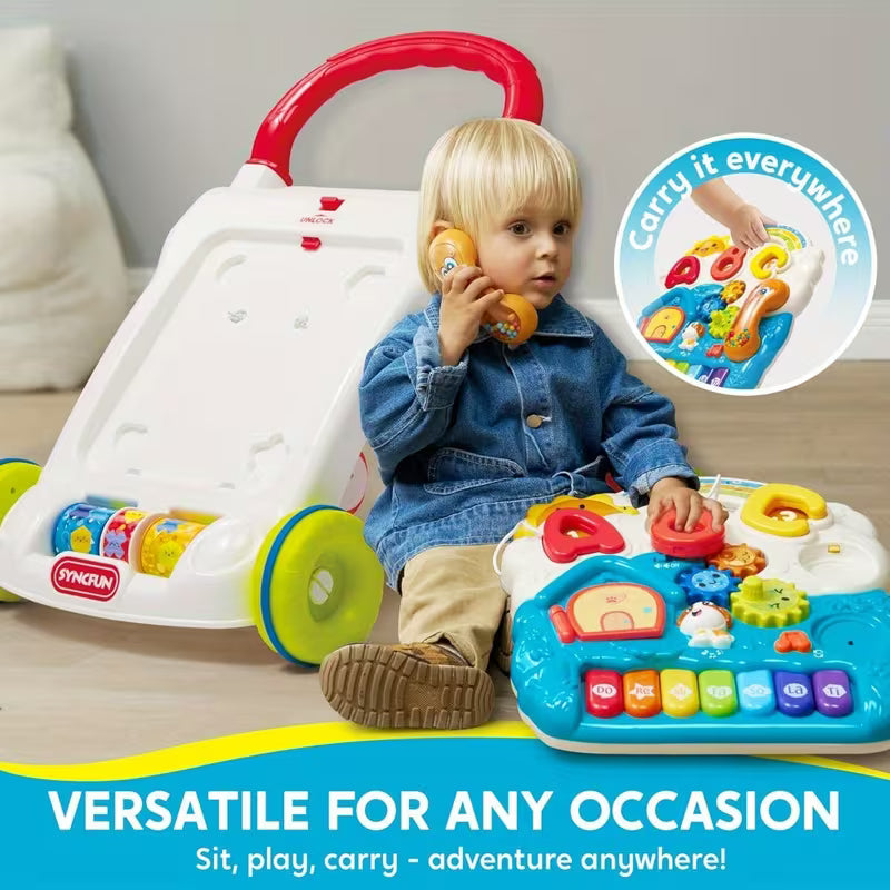 Baby Learning Walker 2-in-1