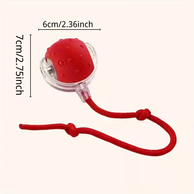 Interactive Cat And Dog Toys Balls, 2pcs Ropes Set