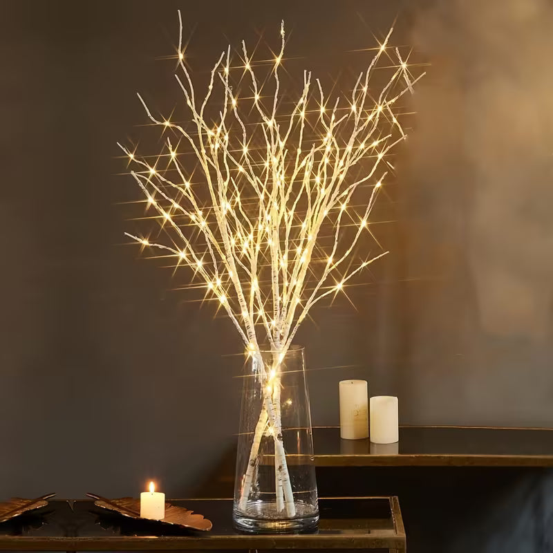 Lighting white birch tree branch, White