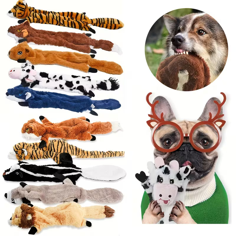 Squeaky Plush Chew Toys Designed Set