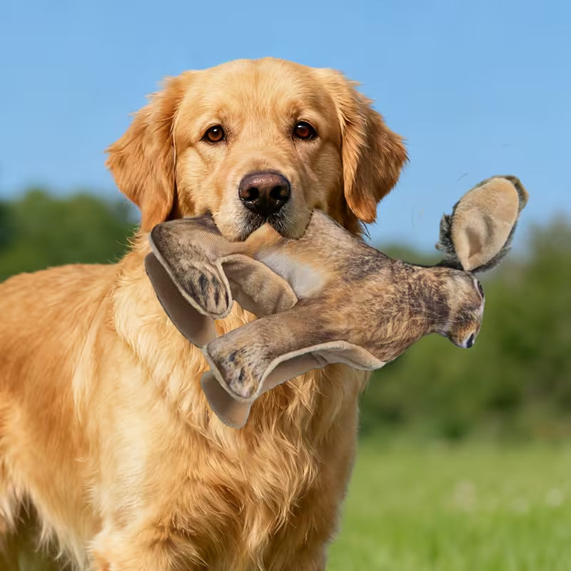 Soft Squeaky Toy