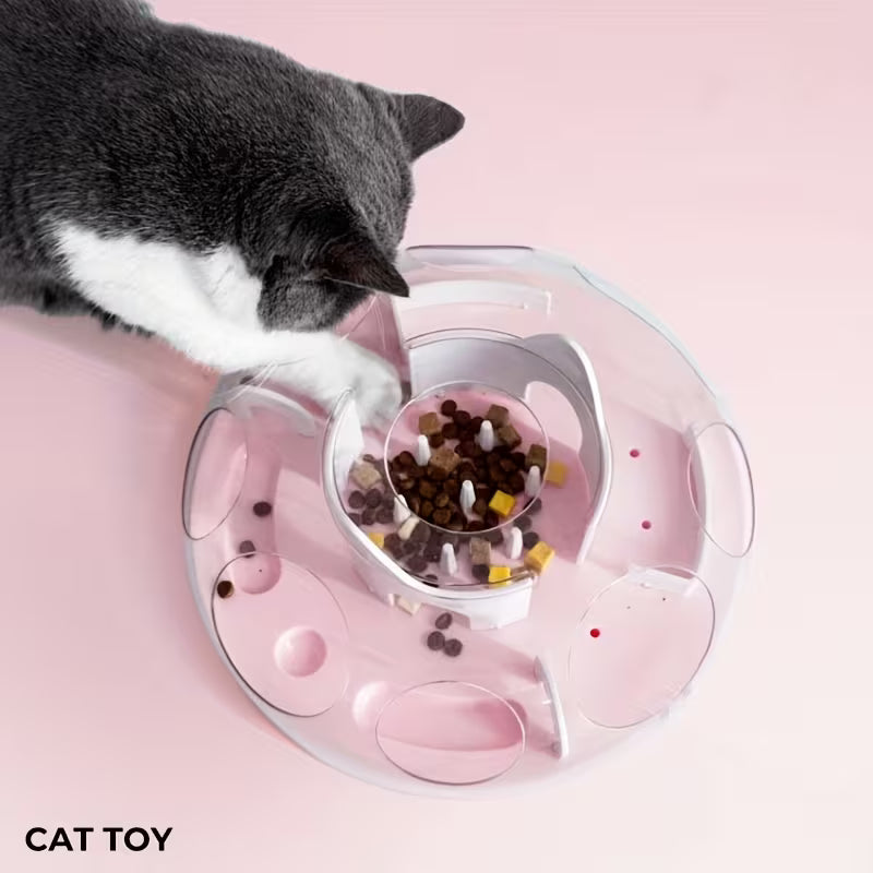 Interactive Cat Maze/Engaging Puzzle Bowl