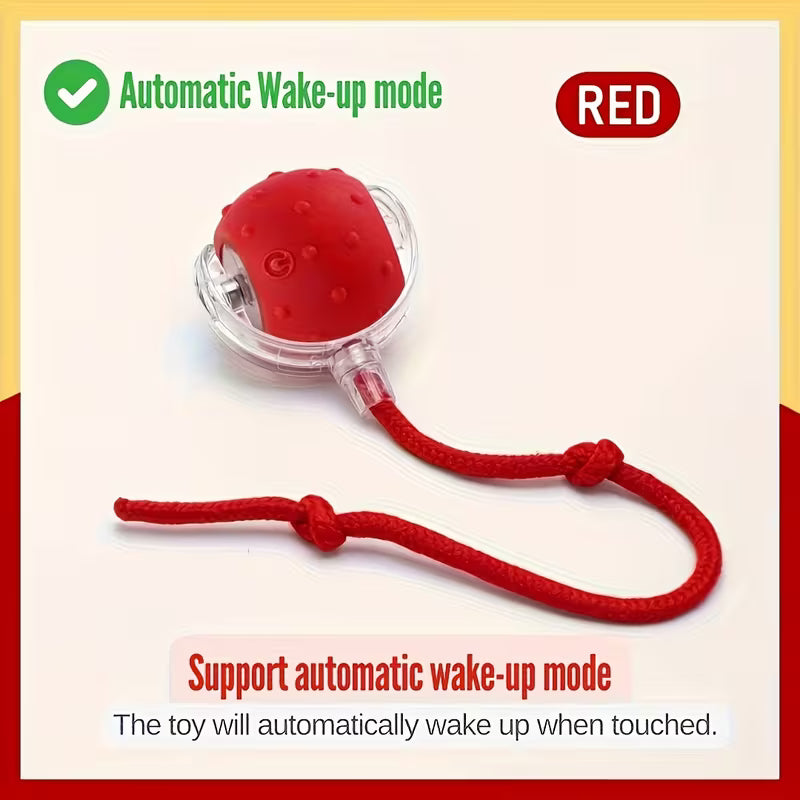 Interactive Cat And Dog Toys Balls, 2pcs Ropes - Automatic Set