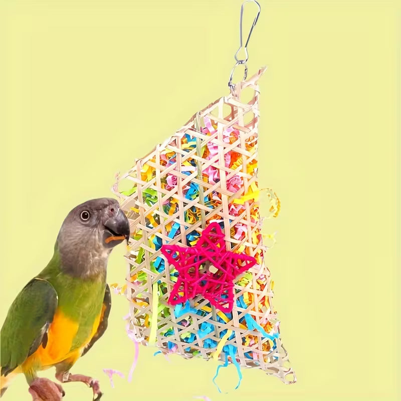 Colorful Parrot Chew