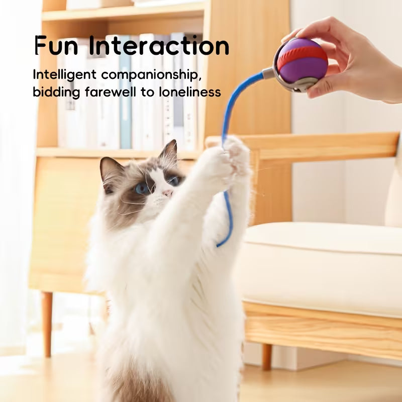Hands-Free Automatic Cat Ball - Smart Rope Rotation