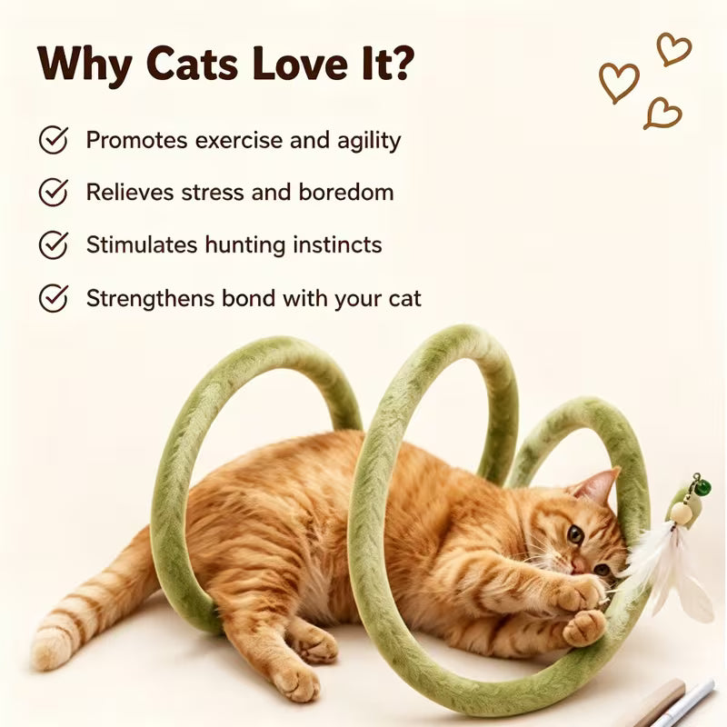 Spring Cat Tunnel Toy