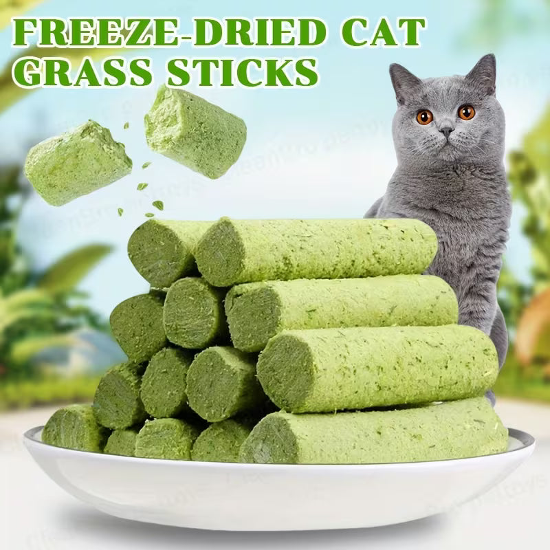 Cat Grass Grinding Stick, Dry Cat Grass Snacks