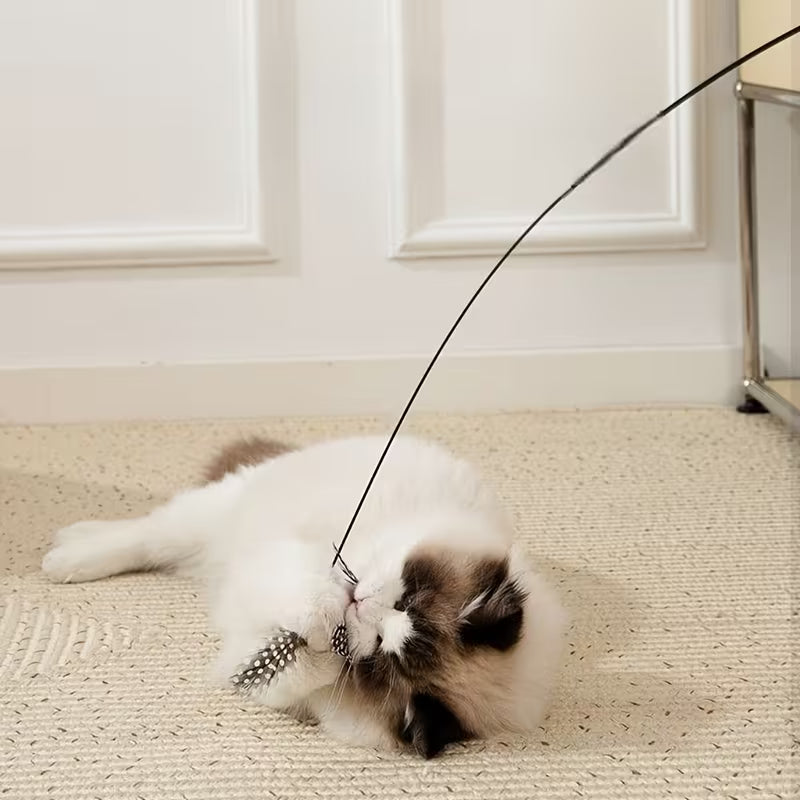 Cat Feather Toy Interactive Cat, Handheld Amusing Stick Toy