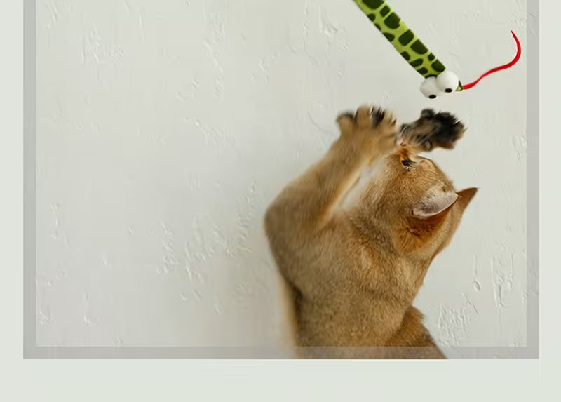 Extra Long 44-inch Cat Teaser - Paper Strip - Green, Green