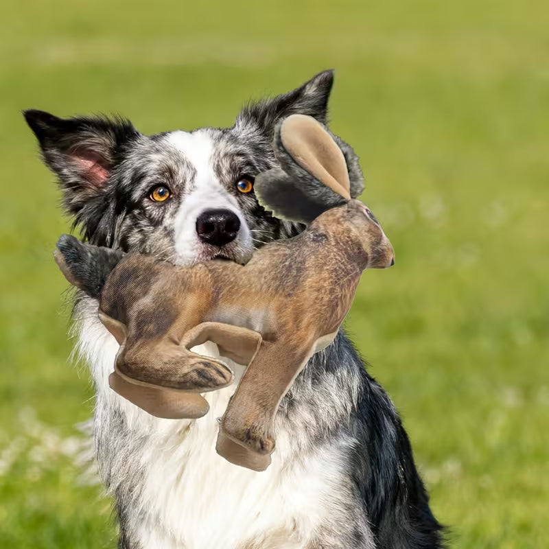 Soft Squeaky Toy