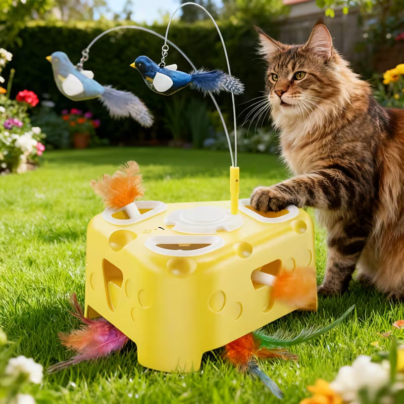 Interactive Cat Toy for Indoor Cats, Enrichment Stimulation Kitten Toys