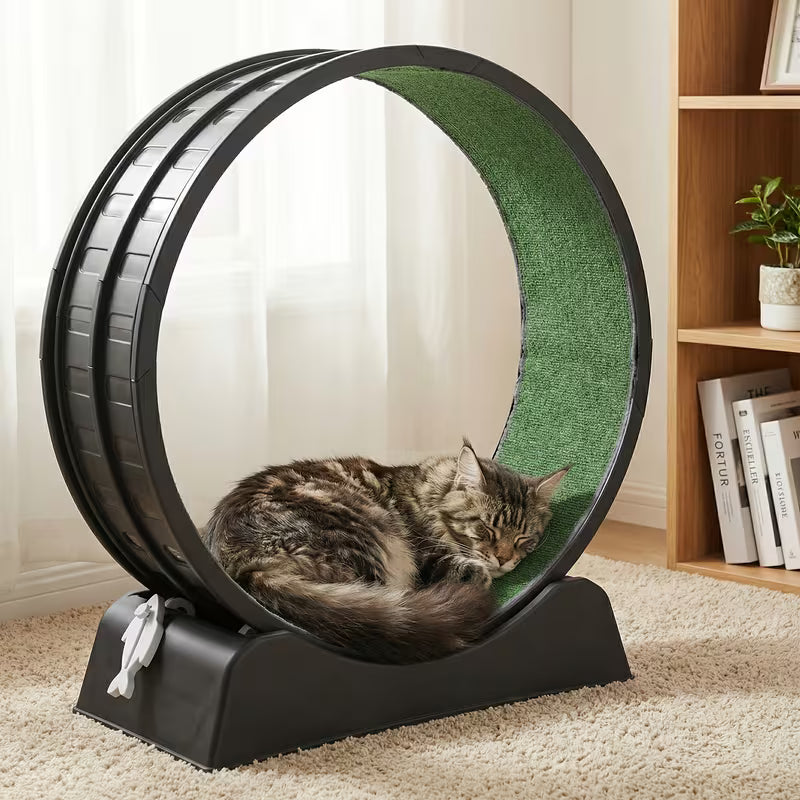 Indoor Cat Exercise Wheel - 31.5 Inches, Black
