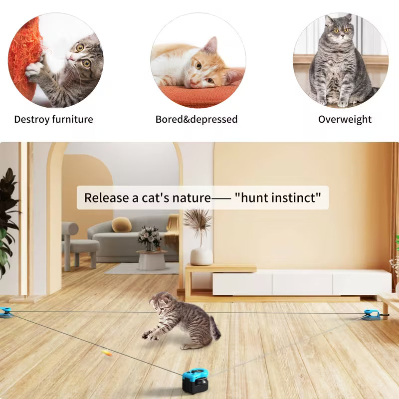 Upgraded for cat Interactive Toy, Blue