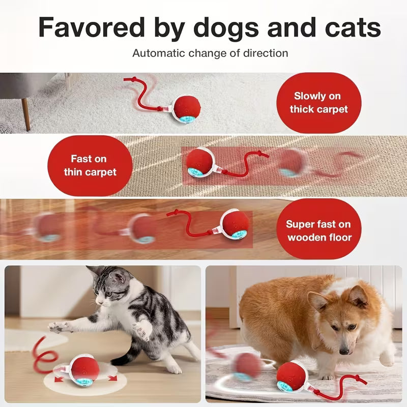 Interactive Cat And Dog Toys Balls, 2pcs Ropes Set