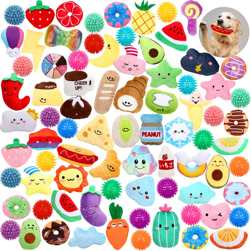 Bulk Pack Dog Squeaky Chew Toys Set